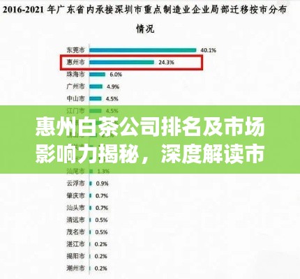 惠州白茶公司排名及市场影响力揭秘，深度解读市场影响力与排名分析