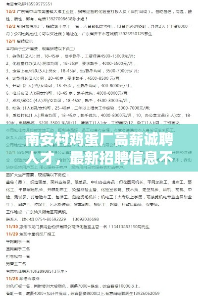 南安村鸡蛋厂高薪诚聘人才，最新招聘信息不容错过！