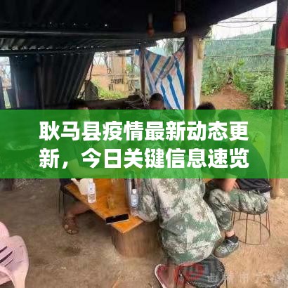 耿马县疫情最新动态更新，今日关键信息速览