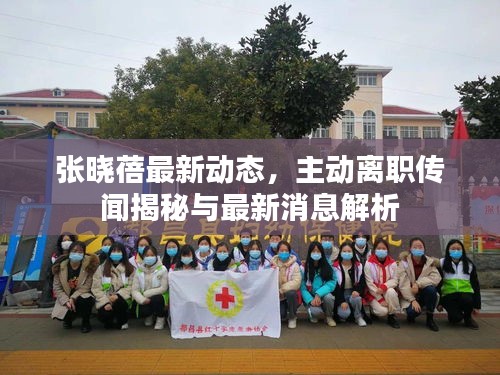 张晓蓓最新动态，主动离职传闻揭秘与最新消息解析