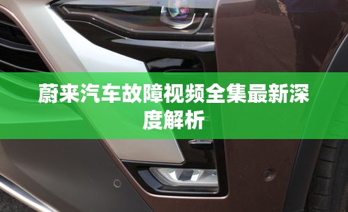 蔚来汽车故障视频全集最新深度解析