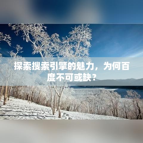 探索搜索引擎的魅力，为何百度不可或缺？