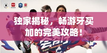 独家揭秘，畅游牙买加的完美攻略！