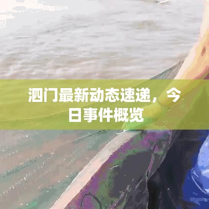 泗门最新动态速递，今日事件概览