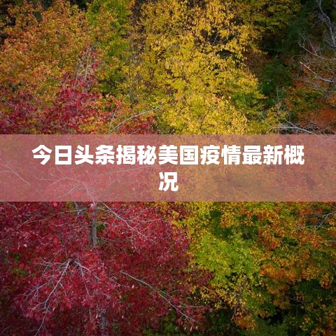 今日头条揭秘美国疫情最新概况