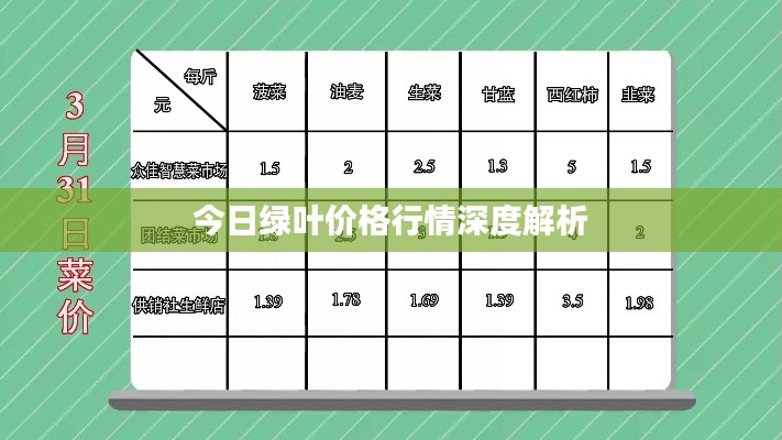 今日绿叶价格行情深度解析