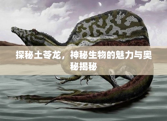 探秘土苓龙，神秘生物的魅力与奥秘揭秘