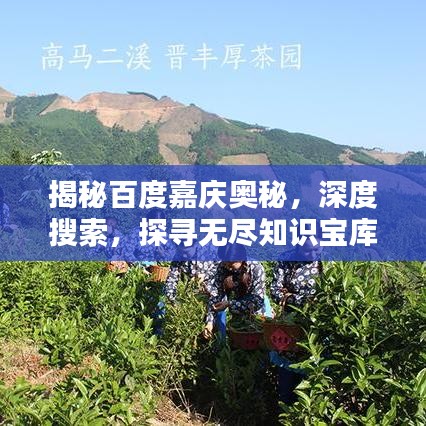 揭秘百度嘉庆奥秘，深度搜索，探寻无尽知识宝库