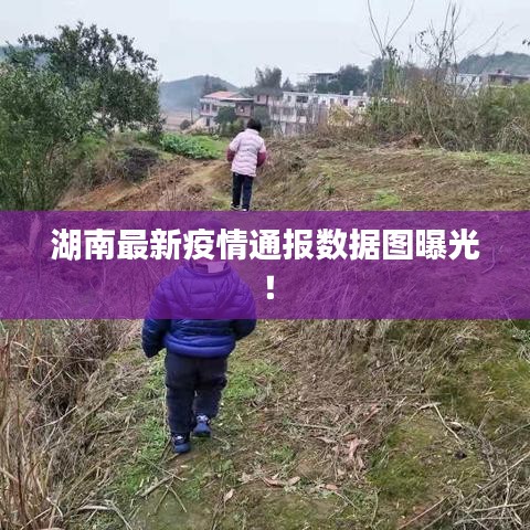 湖南最新疫情通报数据图曝光！