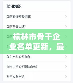 榆林市骨干企业名单更新，最新消息一网打尽