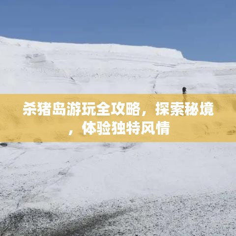 杀猪岛游玩全攻略，探索秘境，体验独特风情