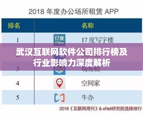 武汉互联网软件公司排行榜及行业影响力深度解析