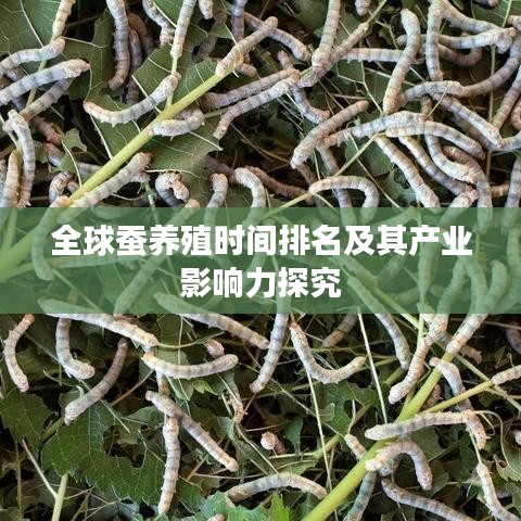 全球蚕养殖时间排名及其产业影响力探究