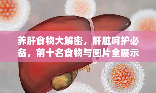 养肝食物大解密，肝脏呵护必备，前十名食物与图片全展示！