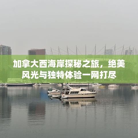加拿大西海岸探秘之旅，绝美风光与独特体验一网打尽