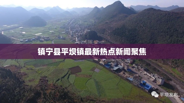 镇宁县平坝镇最新热点新闻聚焦