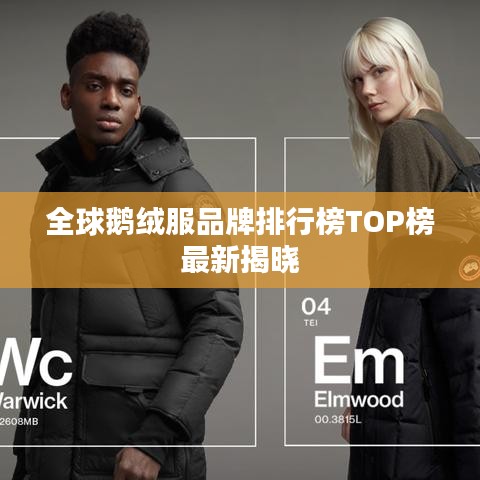全球鹅绒服品牌排行榜TOP榜最新揭晓