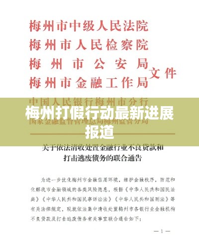 梅州打假行动最新进展报道