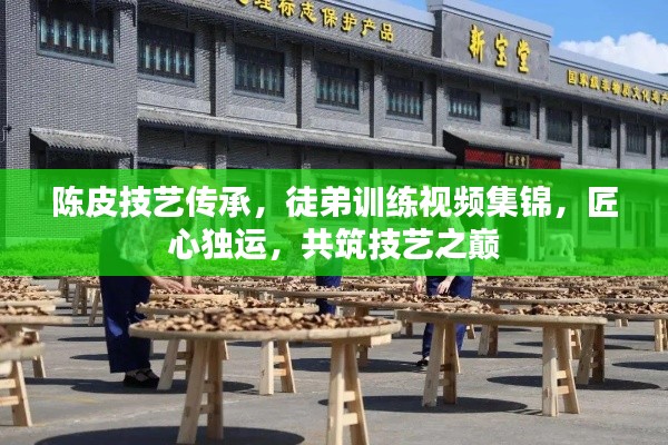 陈皮技艺传承，徒弟训练视频集锦，匠心独运，共筑技艺之巅