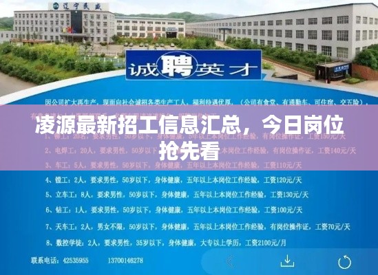 凌源最新招工信息汇总，今日岗位抢先看