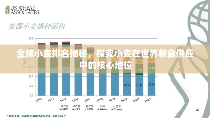 全球小麦排名揭秘，探究小麦在世界粮食供应中的核心地位
