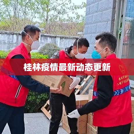 桂林疫情最新动态更新