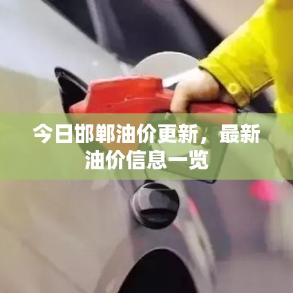 今日邯郸油价更新，最新油价信息一览