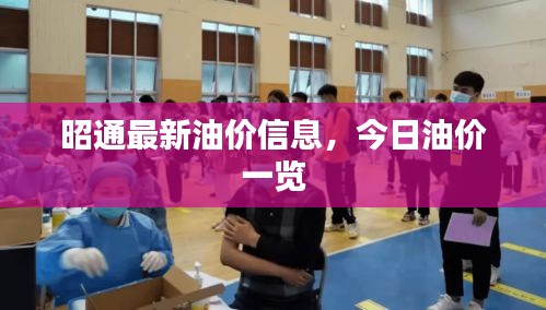 昭通最新油价信息，今日油价一览