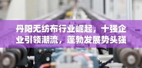丹阳无纺布行业崛起，十强企业引领潮流，蓬勃发展势头强劲