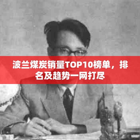 波兰煤炭销量TOP10榜单，排名及趋势一网打尽
