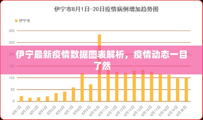 伊宁最新疫情数据图表解析，疫情动态一目了然