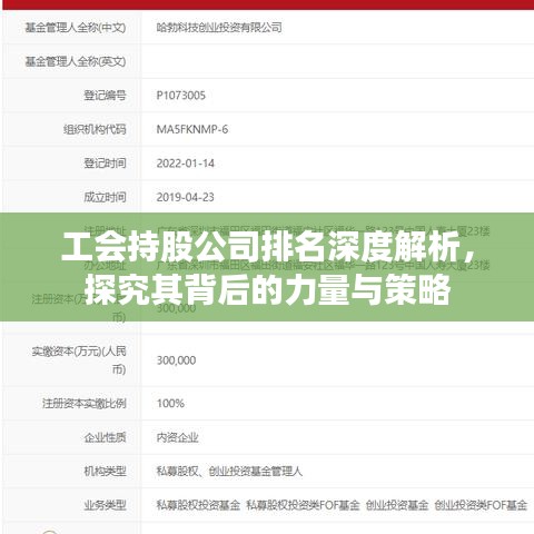 工会持股公司排名深度解析，探究其背后的力量与策略