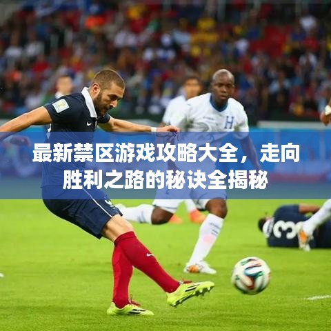 最新禁区游戏攻略大全，走向胜利之路的秘诀全揭秘