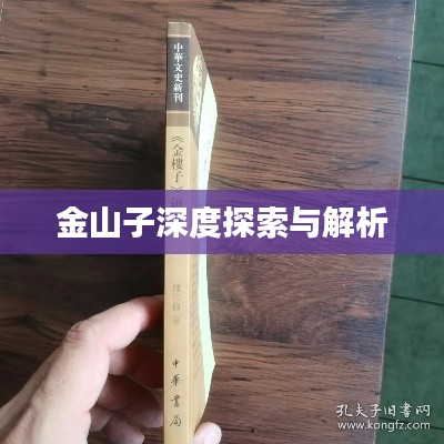 金山子深度探索与解析