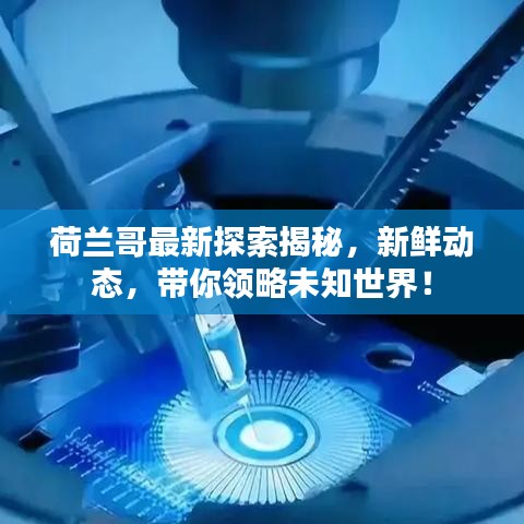荷兰哥最新探索揭秘，新鲜动态，带你领略未知世界！