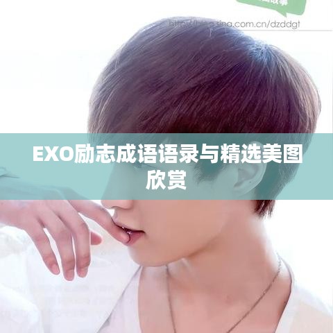 EXO励志成语语录与精选美图欣赏