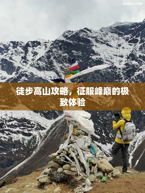 徒步高山攻略，征服峰巅的极致体验