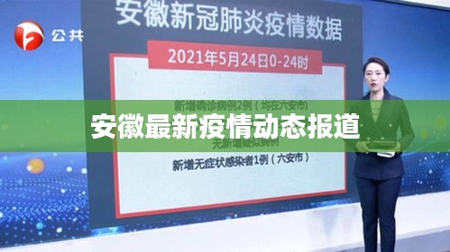 安徽最新疫情动态报道