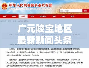 广元陵宝地区最新新闻头条揭秘