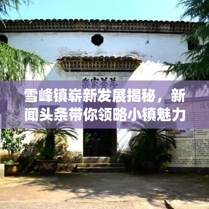 雪峰镇崭新发展揭秘，新闻头条带你领略小镇魅力蜕变