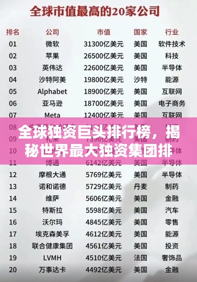 全球独资巨头排行榜，揭秘世界最大独资集团排名揭晓！