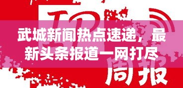 武城新闻热点速递，最新头条报道一网打尽