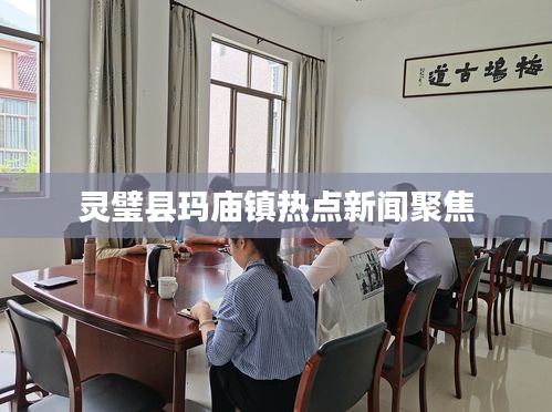 灵璧县玛庙镇热点新闻聚焦