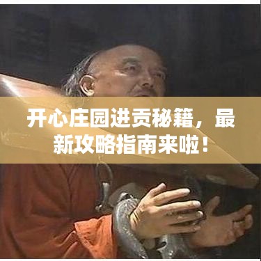 开心庄园进贡秘籍，最新攻略指南来啦！