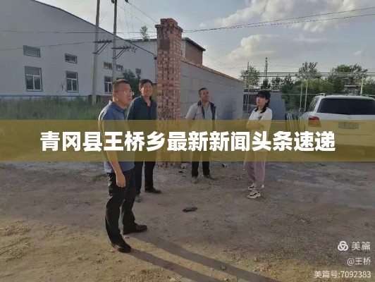青冈县王桥乡最新新闻头条速递