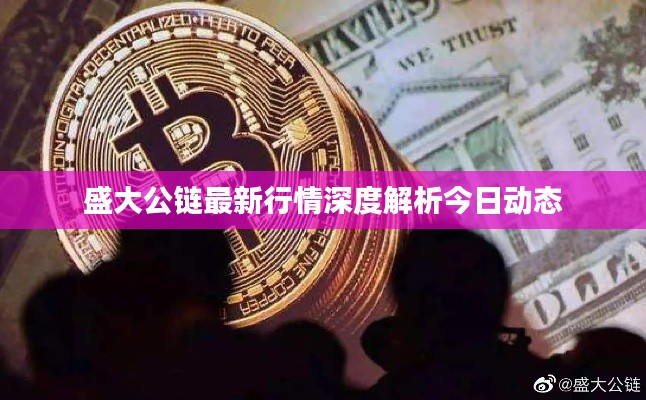 盛大公链最新行情深度解析今日动态