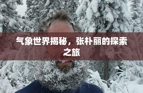 气象世界揭秘，张朴丽的探索之旅