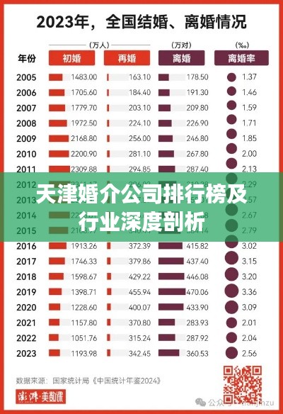 天津婚介公司排行榜及行业深度剖析