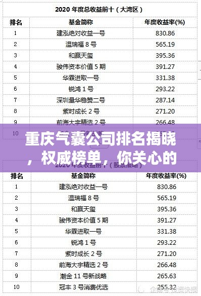重庆气囊公司排名揭晓，权威榜单，你关心的品牌上榜了！