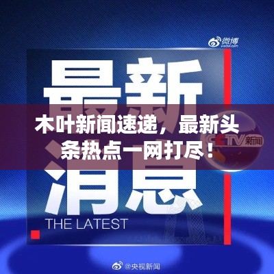 木叶新闻速递，最新头条热点一网打尽！